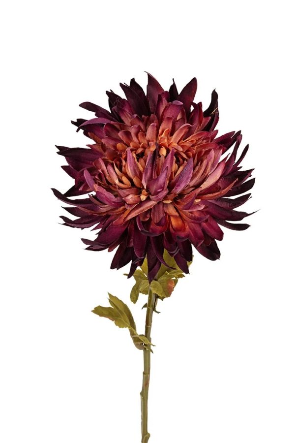 Chrysant, 62cm dk purple