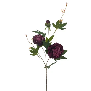 Wild paeony spray Cheb brown 73cm