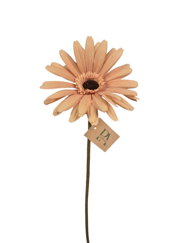 Gerbera, Salmon 60cm