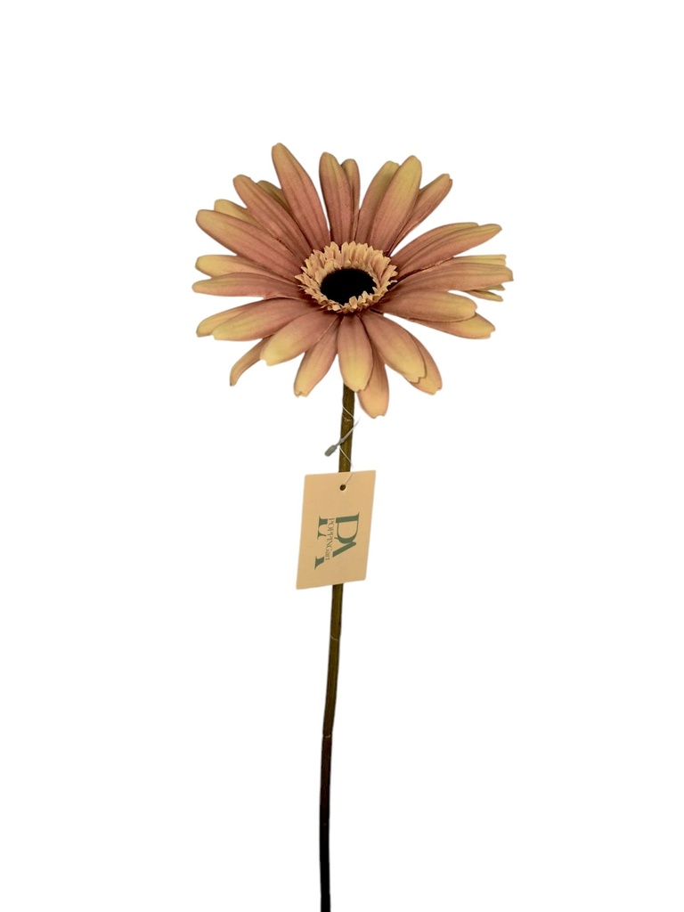 Gerbera, Old Pink 60cm