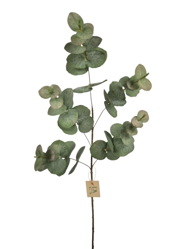 Eucalyptus, Green 86cm