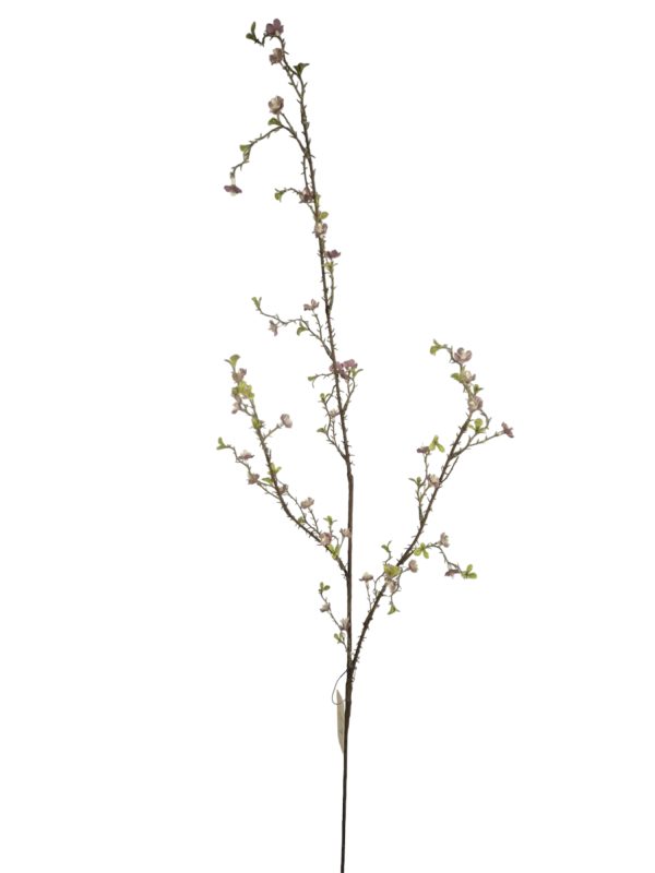 Fine berry mix Black/pink 93cm