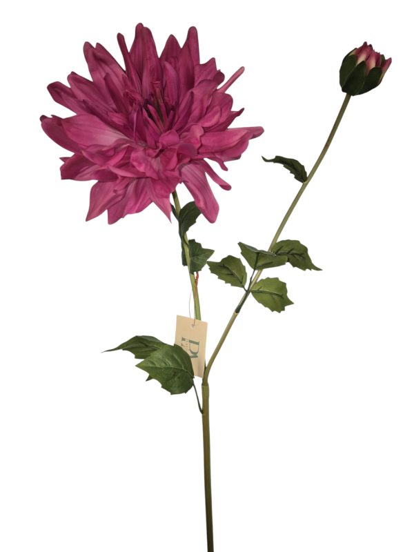 Dahlia mini flower, Pink/purple/cream 71cm
