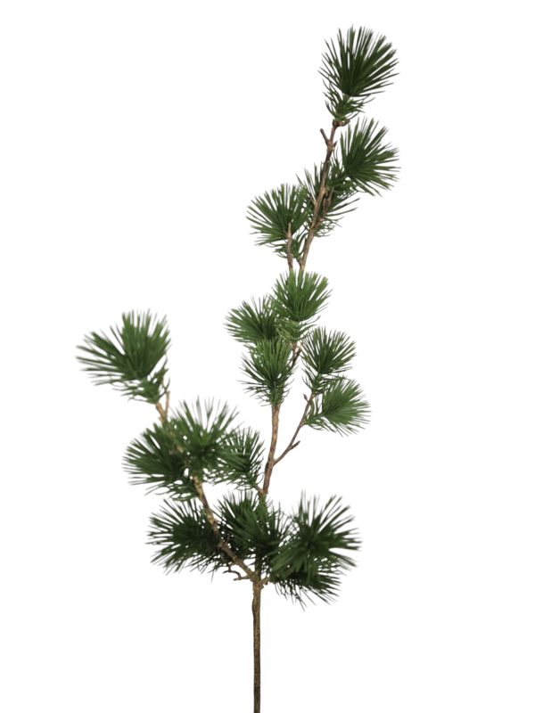 Fine Pine, Pinus green 80cm